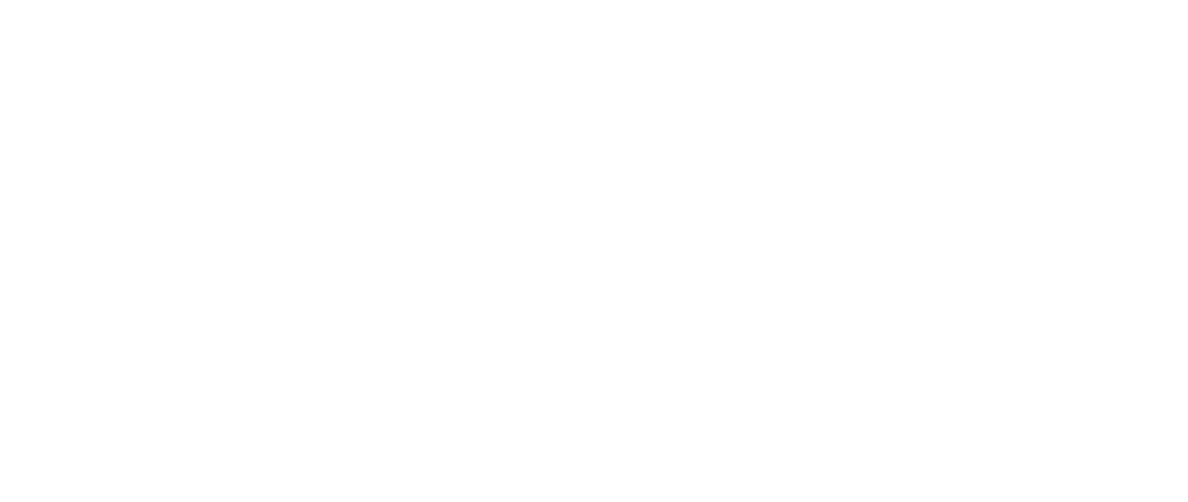 artwork_sandexLOGO_posTRANSPARENTE